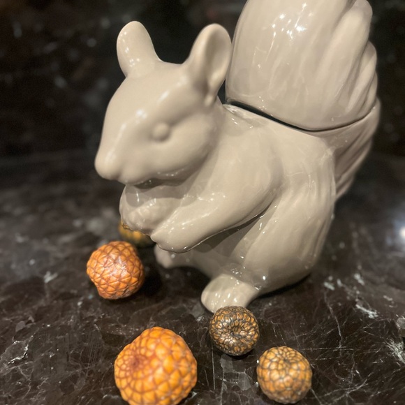 Threshold Cream Ceramic Squirrel Cookie Jar - Picture 6 of 9